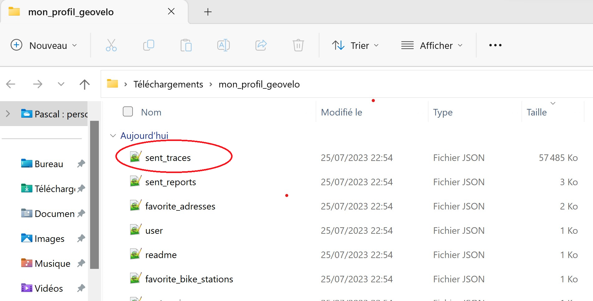 Capture d'écran du contenu de l'archive zip, le fichier contenant les traces est entouré